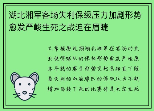 湖北湘军客场失利保级压力加剧形势愈发严峻生死之战迫在眉睫