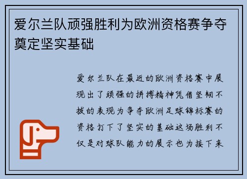 爱尔兰队顽强胜利为欧洲资格赛争夺奠定坚实基础
